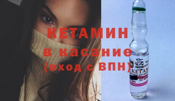 трава Аркадак