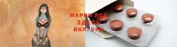 трава Аркадак