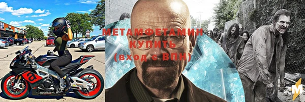 трава Аркадак
