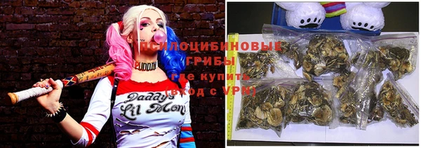 спиды Арсеньев