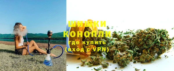 трава Аркадак