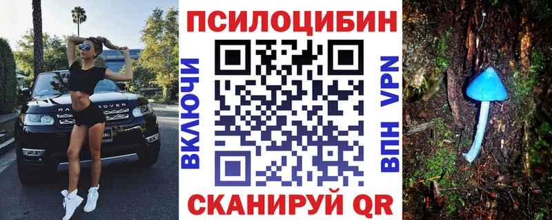 Псилоцибиновые грибы MAGIC MUSHROOMS цена наркотик Питкяранта